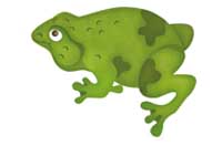 toad