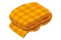 blanket