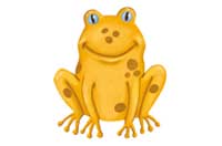 frog