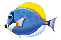 fish