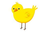 chick