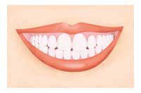 teeth