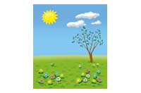 spring