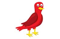 bird