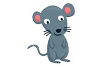 mouse