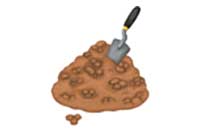 soil