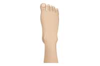 foot