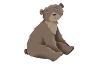 bear