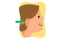 ear