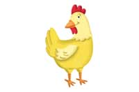 chicken