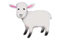 lamb