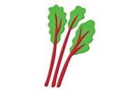rhubarb